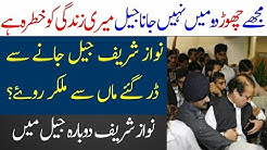 Nawaz Sharif Back to Adiyala Jail