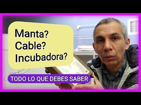 Video: Camas Calientes De Bricolaje: Producción Paso A Paso En Un Invernadero De Policarbonato, Calefacción Con Un Cable Calefactor, Consejos Y Comentarios De Los Propietarios