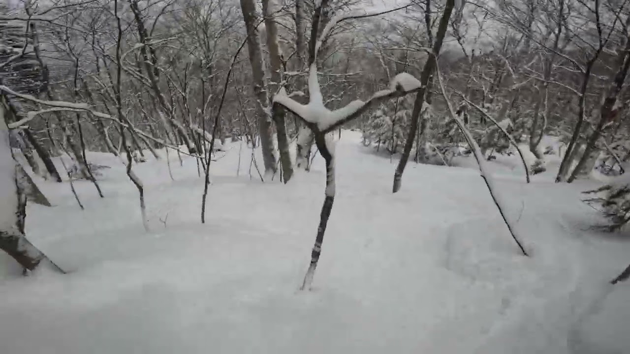 MLK Laps - Back Bowls (From Main Entrance) - Smugglers Notch (2026)