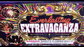 EVERLASTING EXTRAVAGANZA BY (PHANTOM BRAND FIREWORKS) 63 SHOT 500 GRAM (THROWBACK BANGER)