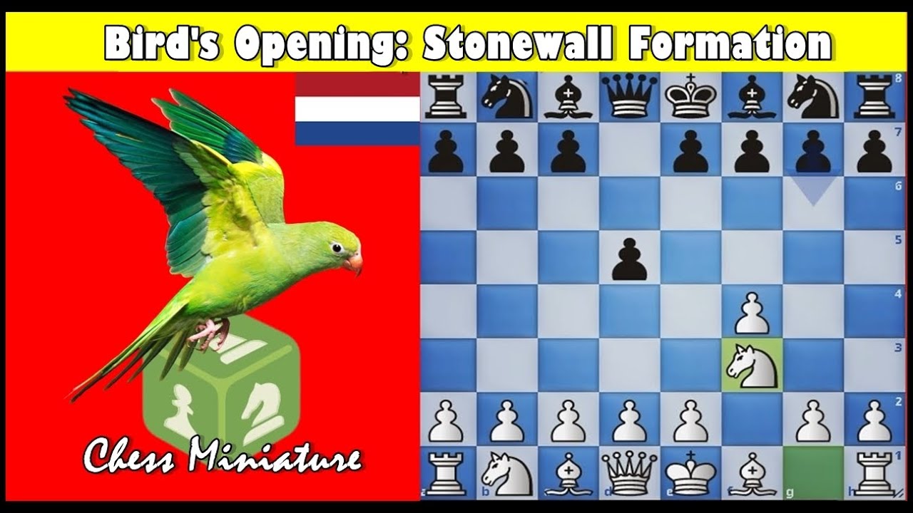 Bird Stonewall Playbook: 200 Opening Chess Positions for White (Paperback)