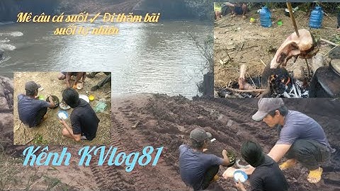 Mê câu cá suối ✓ Hôm nay lại thăm bãi suối tự nhiên!