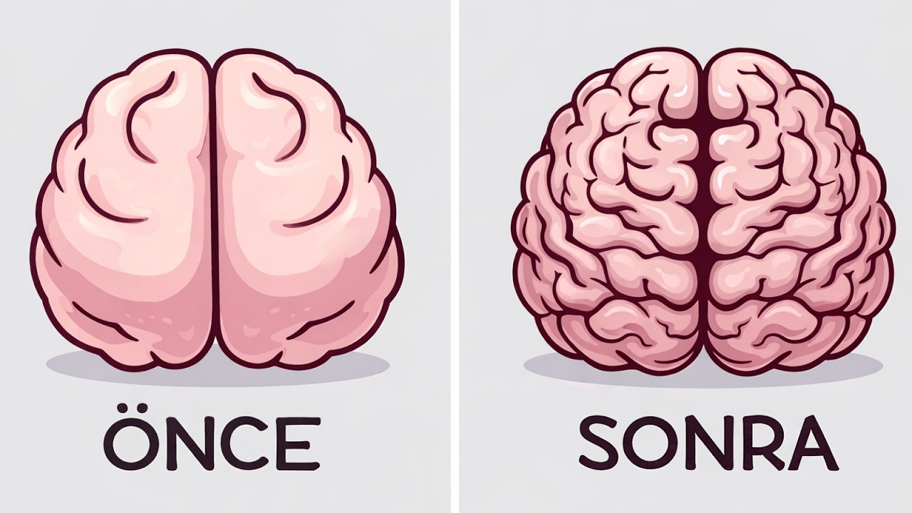 Beynini Güçlendiren 5 Eğlenceli Egzersiz (Harvard ve Stanford’a Göre)