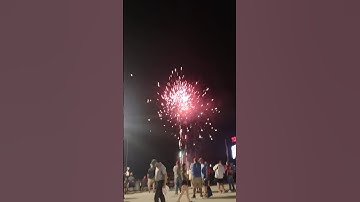 Trash Pandas Firework Finale