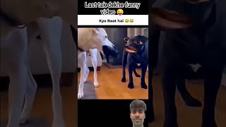 dog 🐕 funny moments video 😂.#dog #viral #funny #video #viraltrending #viralshorts #viralreels