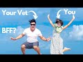 How to be your vets best friend  three tips from dr dan