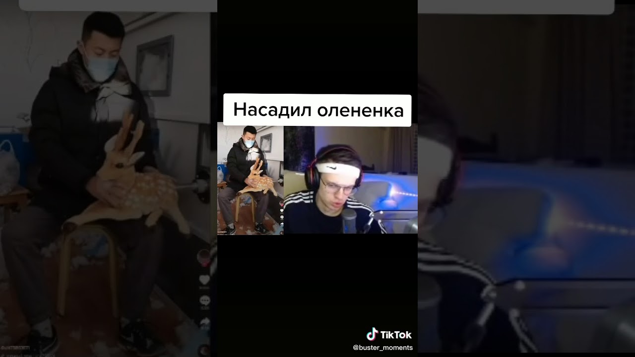 Тик Ток Астролог