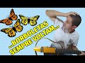 O Espetacular Mundo das Borboletas ile ilgili video