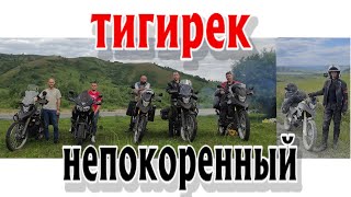 Мотопутешествие в Тигирекский заповедник. Другой Алтай #6 #мотопутешествие