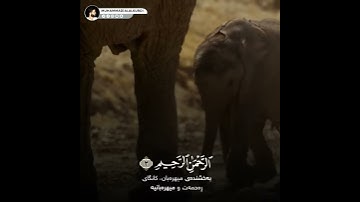 تلاوة عذبة تريح القلب والروح 💙 سورة الفاتحة 💙