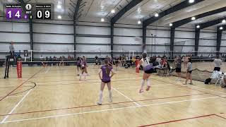 NIVA 16 Purple v Balance 16 White