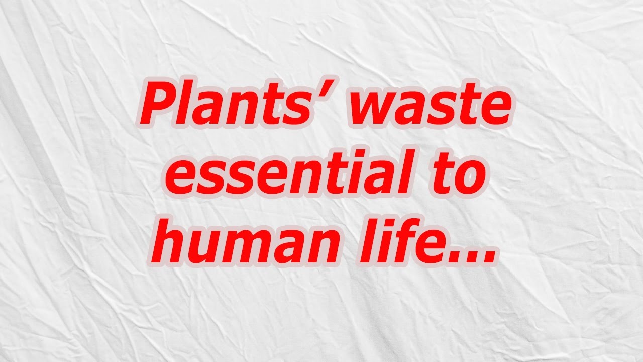 Plants’ waste essential to human life (CodyCross Crossword Answer