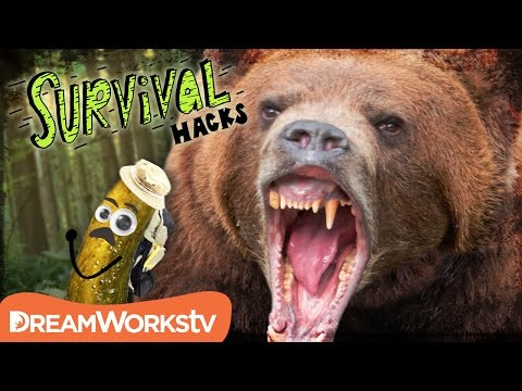 ⁣BEAR ATTACK Survival: Proven Hacks to Stay Alive!