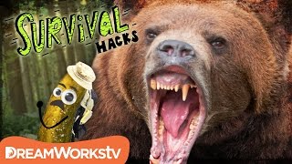 How to Survive a BEAR Attack | SURVIVAL HACKS