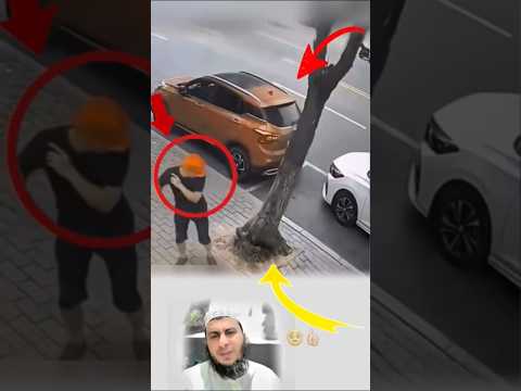 رجل كان متكئآ على تلك الشجر هنا ندرك نعمة الله وحفظه بنا   