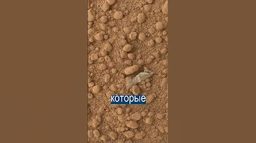 Люди оставили на Марсе 7 тонн мусора