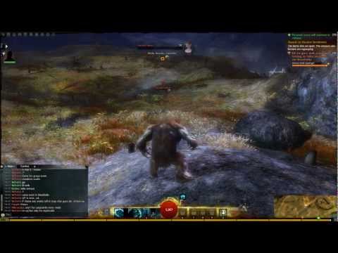 guild wars 2 norn bear form youtube norn bear form