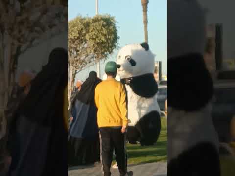 ههههه ضفت عليه دا الصوت دبدوب