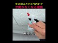 冬になるとテスラのドアが開かなくなる理由🥶🚗