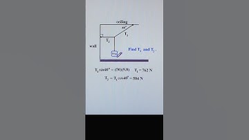 Tensions in Ropes to Support Weight