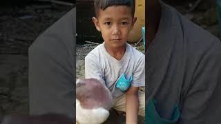 DEWA PERANG PERDANA GIRING
