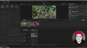Как Экспортировать проект DaVinci Resolve в разные файлы
