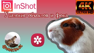 Удаление объектов и фона с помощью Самсунг Галереи и Иншота!