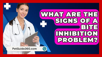 What Are The Signs Of A Bite Inhibition Problem? - PetGuide360.com