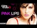 Pink Lips Full Audio Song | Hate Story 2 | Sunny Leone | Meet Bros Anjjan Ft. Khushboo Grewal