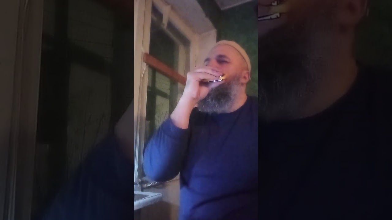 Диатоническая гармошка Chicago pc