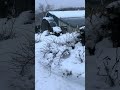 Ang lakas ng hangin at snow #snow #winter #hokkaido #agriculture #farming #shorts
