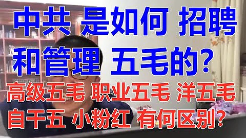 五毛郑国成大骂中共被训诫限制出境揭秘五毛是如何运营和招聘的职业五毛高级五毛自干五和小粉红有何区别两韩看两岸21 03 27 Mp3