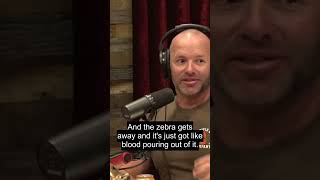 Guest illustrates how lions maim prey and never lose sleep over the cruelty, showing nature's com