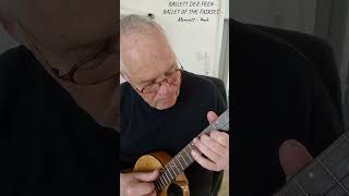 BALLETT DER FEEN / BALLET OF THE FAIRIES ©mh #shorts  ... (Arrangement verfügbar/available)