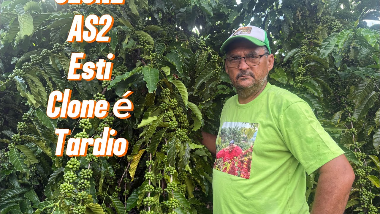 Verdade o mentira que não pode plantar duas carreira dos mesmo clone 