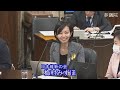 2025.04.17　経済産業委員会・参考人質疑　梅村みずほ