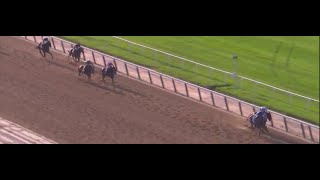 Belmont Park resumes live racing after air quality improves