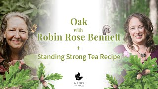 Oak with Robin Rose Bennett + Standing Strong Tea Recipe