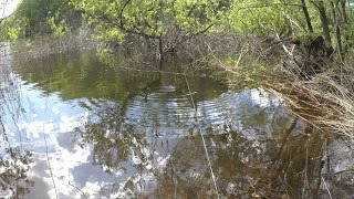 ミミズでバス釣り／Bass fishing in the earthworm