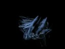 ATEC "The Void"