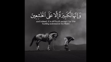 تلاوة من سورة البقرة { القارئ عبد الرحمن مسعد} 🖤🌻