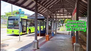 SMB94P Service 167. Departing Yishun Blk 114. MB OC500LE. Euro 5 (Batch 2) SD Bus. 18/03/26. SG❤️BUS