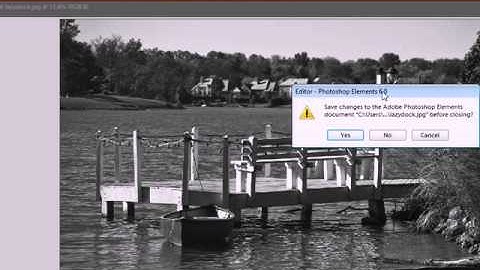 Create Black and White Images using Photoshop Elements