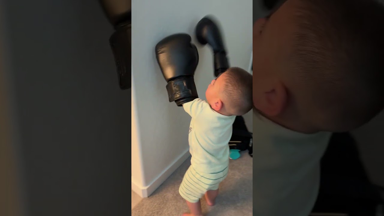 Bot punches wall with boxing gloves then weight of gloves cause him to fall forward and faceplant