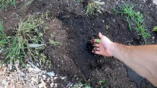 Must Watch Before Using Leaf Compost  Pros and cons as a soil medium