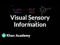 Visual sensory information | Processing the Environment | MCAT | Khan Academy