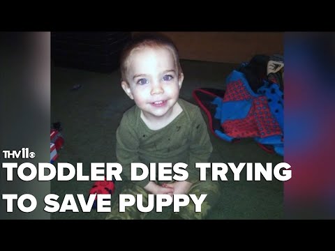 Toddler tragically dies attempting to save puppy from Gentry house fire