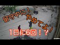 留守中にご近所さんがしている事【今シーズン版】