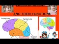 Lobes and their functions CINDERELLA NURSING CLASSES (CNC)