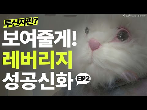 청년백수가 레버리지 땡겨서 수익 창출하기? 어렵지 않더라? [사부작] - EP2